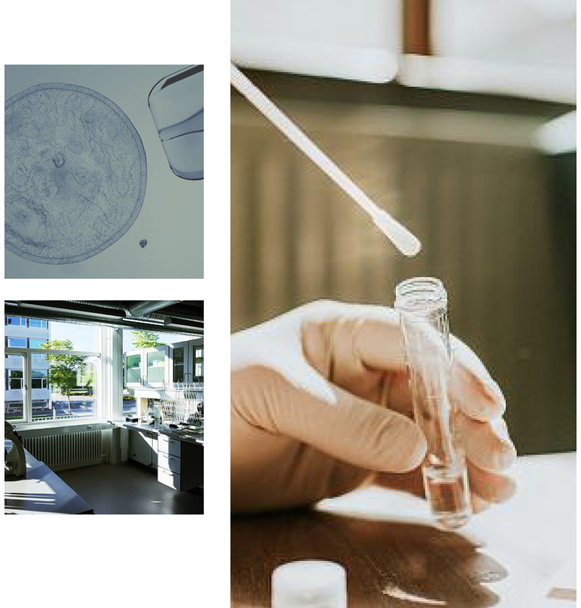 Wissenschaftliche Prinzipien, die den zugrunde liegenden